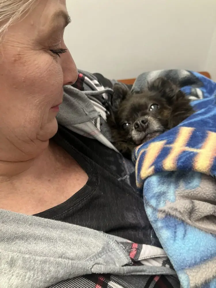 Compassionate vet care for dogs and cats Lancaster